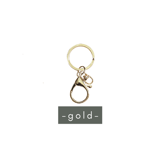 Keyring with Clip