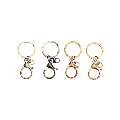 Keyring with Clip