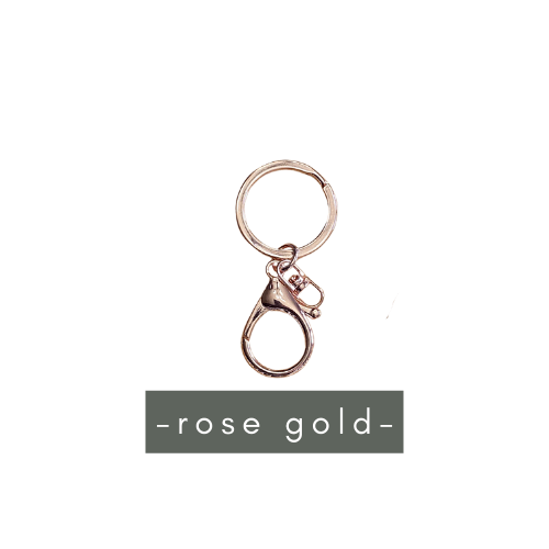 Keyring with Clip