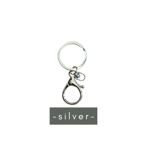 Keyring with Clip